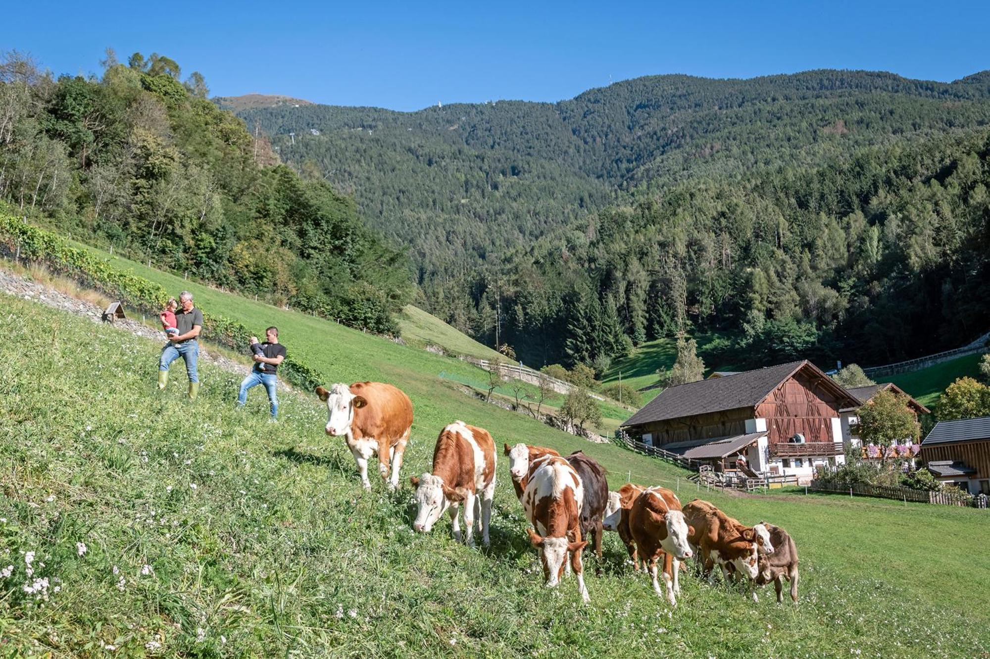 Niederthalerhof Chalets Bressanone Exterior foto